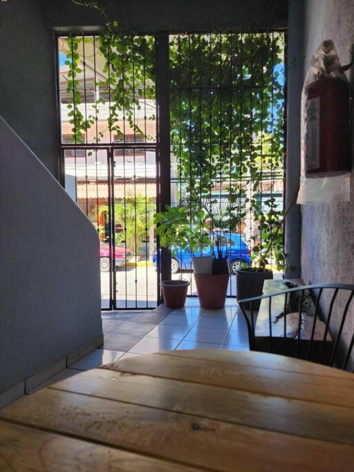 Small Studio Apt 5Min To Dt! Zihuatanejo Exteriör bild