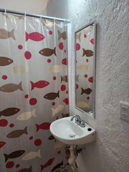 Small Studio Apt 5Min To Dt! Zihuatanejo Exteriör bild