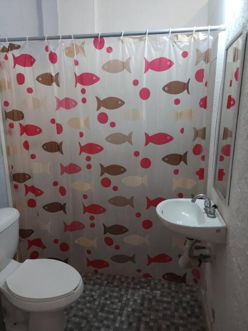 Small Studio Apt 5Min To Dt! Zihuatanejo Exteriör bild